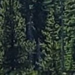 rustic plank white narrow