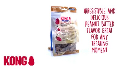 Kong Snacks Small Peanut Butter Dry Dog Treats 7 oz - Chow Hound Pet  Supplies
