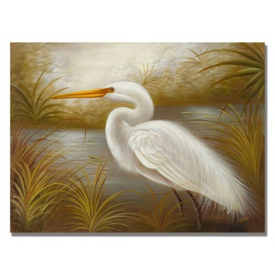 18" x 24" White Heron by Rio - Trademark Fine Art