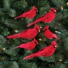 Collections Etc Cardinal Clip-On Ornaments Winter Decoration, 6 Pc 6.75 X 2 X 2.25 - 2 of 2