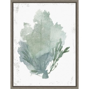 Amanti Art Teal Delicate Coral I by Aimee Wilson Canvas Wall Art Print Framed 18 x 24-in. - 1 of 4