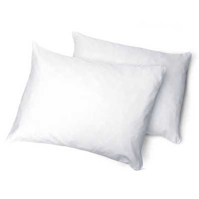 Gel Memory Foam Pillow, Set of 2 - Molecule