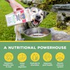 Brutus Bone Broth Hip & Joint Formula Wet Dog Food - Supplement - Chicken - 32oz - 2 of 4