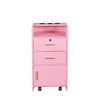 NicBex Commercial-Grade Beauty Storage Cabinet, Bedroom Dresser with 2 Drawers & Cabinet, Hair Dryer Holes, Pink Dresser, Pink Nightstand - 4 of 4