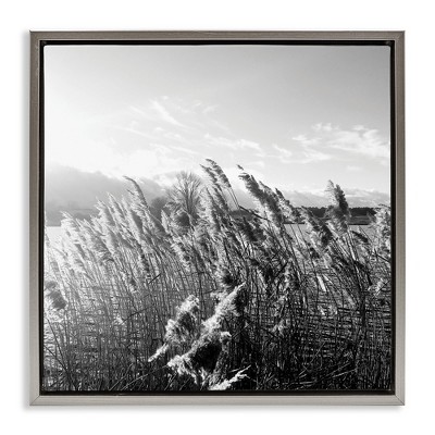 Stupell Industries Tall Grass Lake Water Landscape, 25" x 25"