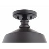 Brio Lighting Bola 1 - Light Semi-Flush Mount in  Dark Brown - 3 of 4