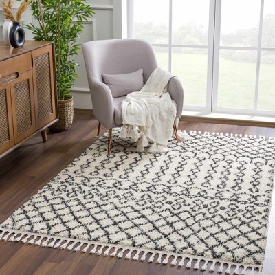 Hauteloom Muni Berber Shag Rug
