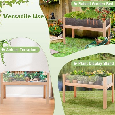 31" Natural Fir Wood Raised Garden Bed with Acrylic Panels