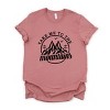 Simply Sage Market Take Me To The Mountains Circle Short Sleeve Tee - M - Mauve - 2 of 4