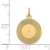 Black Bow Jewelry 14k Yellow Gold Record Album Charm or Pendant, 16mm (5/8 inch) - 4 of 4