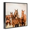 Stupell Industries Horse & Foals Photography, 20" x 16" - 3 of 4