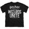 Boys' Short Sleeve Harry Potter Wizards Unite Wizards Unite Logo T-Shirt - 2 of 4