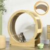 PawHut 36" Cat Wheel for Indoor Cats with Brake, 4 Pack Replacement Scratching Pads for Health and Fitness, Oak - 2 of 4