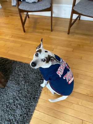 Mlb Chicago Cubs Pets First Pet Baseball Hoodie Shirt - Gray S : Target