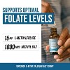 Triquetra L-Methylfolate (15 mg) Plus Methyl-B12 - 60 servings - Berry Flavor - 3 of 4