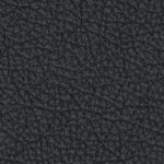 minnesota golden gophers