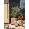 Veradek Demi Series Demi Bundle Planter - 3 of 4