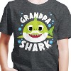 Boys' - Baby Shark - Grandpa Shark Short Sleeve Graphic T-Shirt - 2 of 4