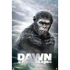 Trends International Dawn of the Planet of the Apes (2014) - One Sheet Unframed Wall Poster Prints - 4 of 4
