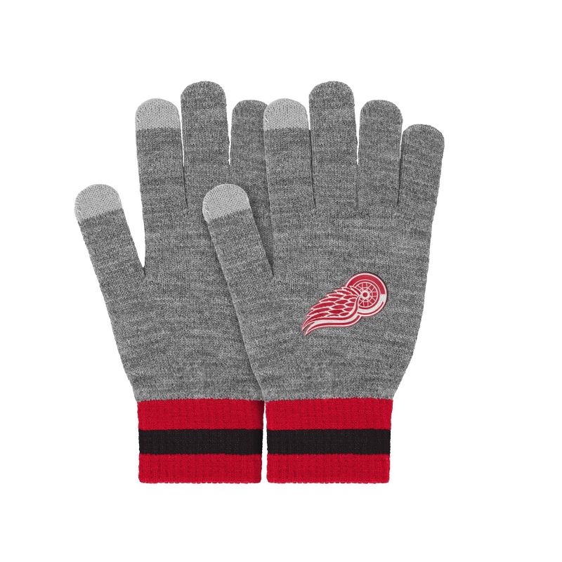 NHL Detroit Red Wings Gray Big Logo Glove, 4 of 5