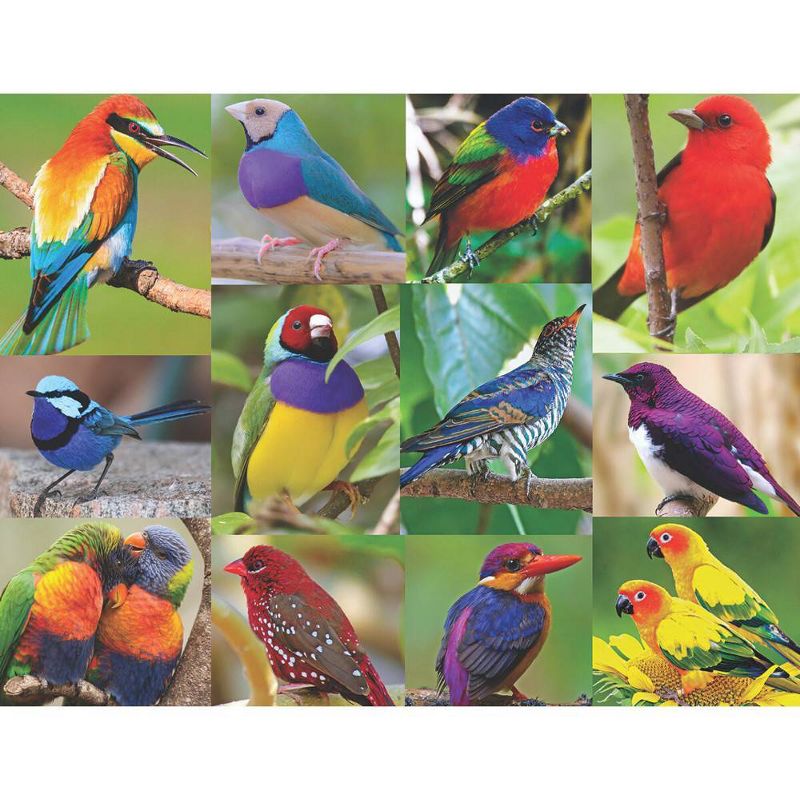 Springbok Spring and Summer: Birds of Paradise Jigsaw Puzzle - 500pc, 3 of 5