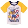 Nickelodeon Paw Patrol Pullover T-Shirt and French Terry Shorts Outfit Set Little Kid to Big Kid - 3 of 4
