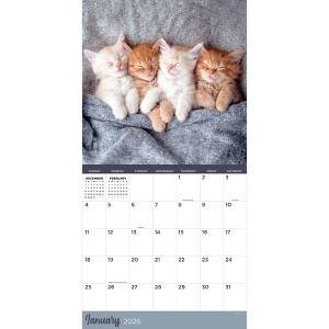 TF Publishing 13.5"x14.5" 2026 Cat Dreams Wall Calendar - 1 of 4