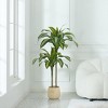 5ft/4ft Artificial Dracaena Tree in Nursery Pot - UV Resistant Faux Floor Plant for Indoor & Outdoor Decor - 2 of 4