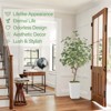 Artificial Eucalyptus Tree, Faux Eucalyptus Tree with Tall White Planter - 4 of 4