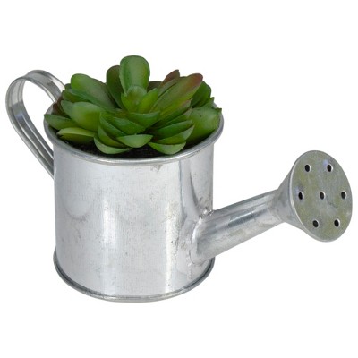 Northlight 4" Echeveria Succulent in Watering Can Artificial Potted Plant - Green/Silver