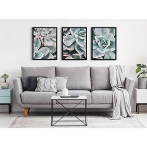 18" x 24" 3pc Sylvie Botanical Succulent Plants Framed Canvas Set by the Creative Bunch Studio Black - Kate & Laurel All Things Decor: - 1 of 4