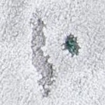 grey/green