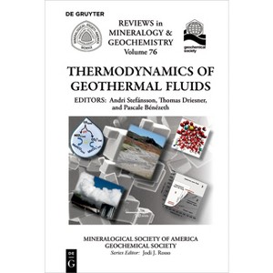Thermodynamics of Geothermal Fluids - (Reviews in Mineralogy & Geochemistry) by  Andri Stefánsson & Thomas Driesner & Pascale Bénézeth (Paperback) - 1 of 1