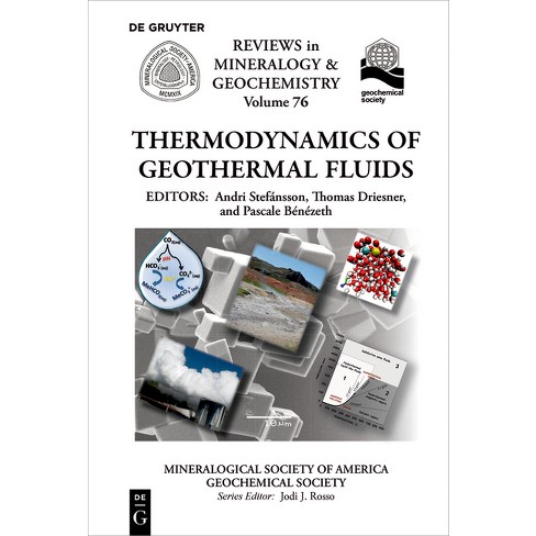 Thermodynamics of Geothermal Fluids - (Reviews in Mineralogy & Geochemistry) by  Andri Stefánsson & Thomas Driesner & Pascale Bénézeth (Paperback) - image 1 of 1