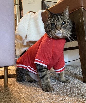 Smiley Face Dog And Cat Graphic Sweatshirt - Boots & Barkley™ : Target