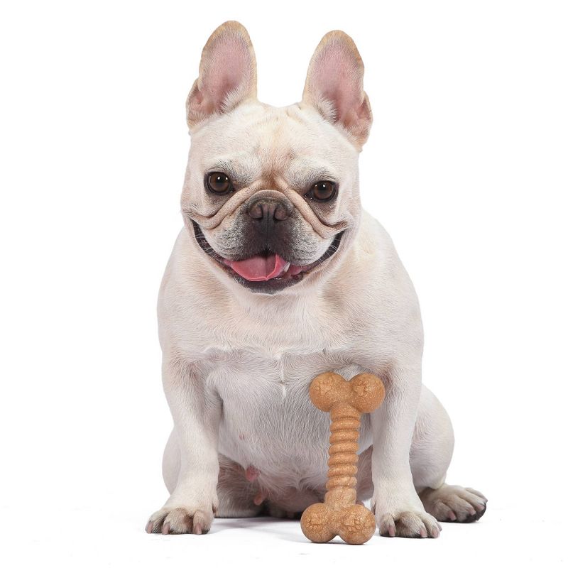 Arm &#38; Hammer PP+Pine Saw Dust Classic Bone Dog Toy - Peanut Butter Flavor - 5&#34;, 5 of 7