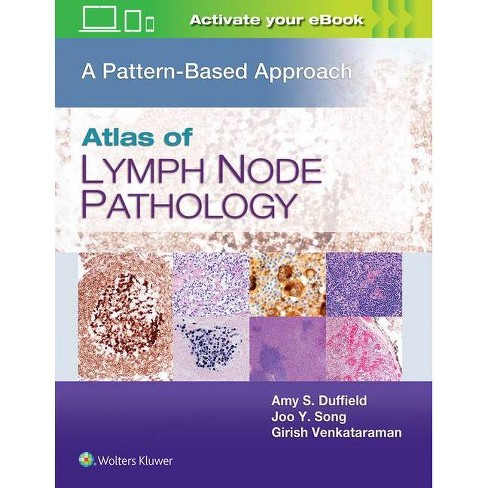 Atlas Of Lymph Node Pathology By Amy S Duffield Joo Y Song Girish Venkataraman Hardcover Target
