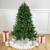 Northlight 4' Pre-Lit Sierra Noble Fir Artificial Christmas Tree, Clear Lights - 2 of 4