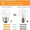 Runesay G40 Low Watt Small Led Light Bulbs 1.5W Edison Filament Led Bulbs 15 Watt Equivalent E26 Standard Base Warm White 2700K 150 Lumen, 2 Pack - 3 of 4