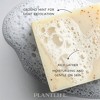 Plantlife Double Mint Bar Soap – Moisturizing, Soothing, Handcrafted, Plant-Based – Made in California, 4oz - 2 of 4