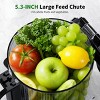 Cold Press Juicer – 5.3" Feed Chute, 1.7L Capacity, High Juice Yield, Juicer Machine, Powerful Slow Juicer with Total Pulp Control Easy to Clean - 2 of 4