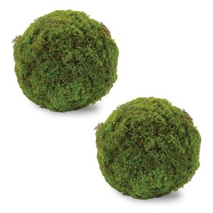 Faux Moss Orb (Set of 2) - 1 of 2