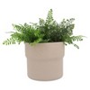 Sagebrook Home Mushroom Planters, Set of Three, 6"Hx7" Diameter, 7"Hx9" Diameter, 9"Hx10" Diameter, Tan Ceramic Finish, Lightweight Design Perfect - 4 of 4