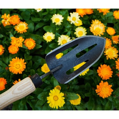 DeWit Sieve Trowel - Thumbnail 3