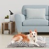 Precious Tails Printed Microsuede Tufted Mat Bed for Dogs - Ivory - S - image 4 of 4