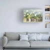 Trademark Fine Art -Danhui Nai 'White Potted Geraniums' Canvas Art - 2 of 4