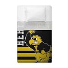 Sleep Squad Iowa Hawkeyes Herky the Hawk Mascot 60 x 80  Raschel Plush Blanket - 3 of 4