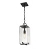 Sana Collection Outdoor Pendant Light - Black Glass, 1 Bulb, Dimmable, 18" Height - 2 of 4