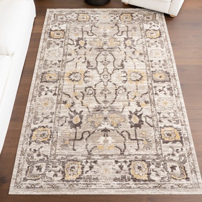 Devaki Beige and Gray Synthetic Medallion Area Rug, 4' x 6'