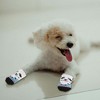 Unique Bargains Dog Cats Non-Slip Socks Panda Pattern Paw Protection and Traction Color Mixing 4 Pcs - 4 of 4
